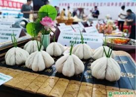 金乡的“金字招牌”：大蒜
