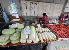 武汉：茄果类蔬菜价格上涨