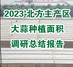 【即将发布】2023'北方主产区大蒜种植面积调研总结报告 ()