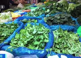 上海：时令蔬菜量涨价跌