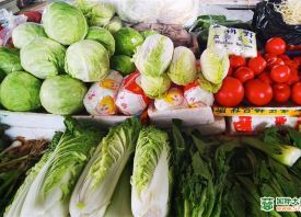 武汉白沙洲：开学季蔬菜均价微降 ()