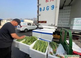 兰州：绿叶蔬菜价格下降