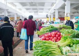 哈尔滨：蔬菜价格稳步回落