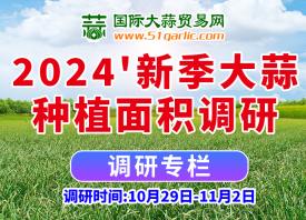 2024’大蒜种植面积有多大？ ()