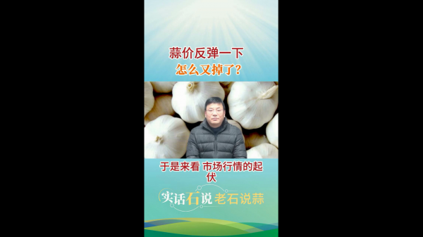 蒜价反弹一下怎么又掉了？