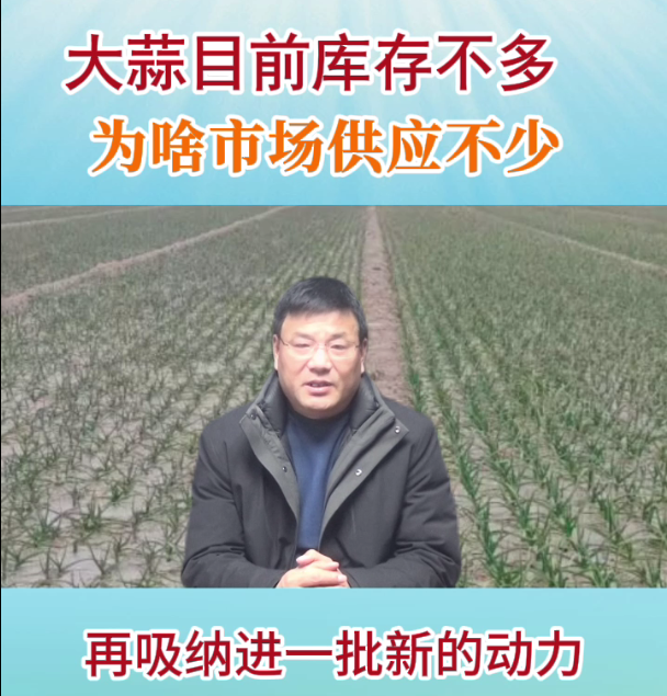 大蒜目前库存不多，为啥市场供应不少