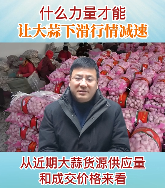 什么力量才能让大蒜下滑行情减速 ()