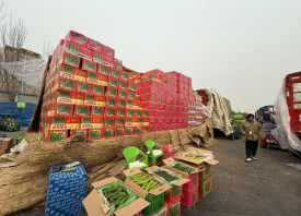 新发地：蔬菜价格进入下降区间 ()