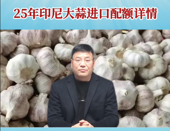 25年印尼大蒜进口配额详情 ()