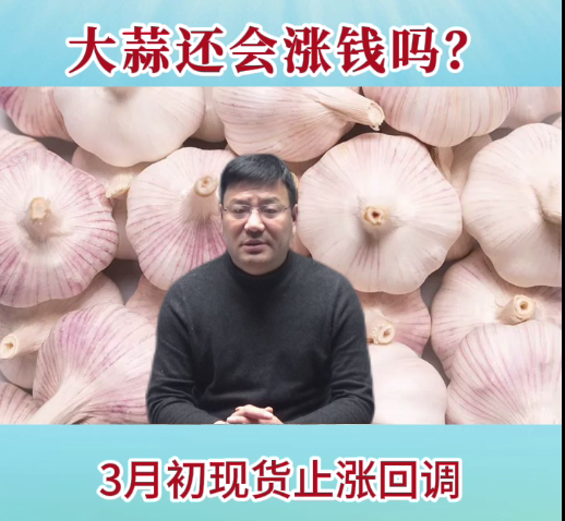 大蒜还会涨钱吗？ ()