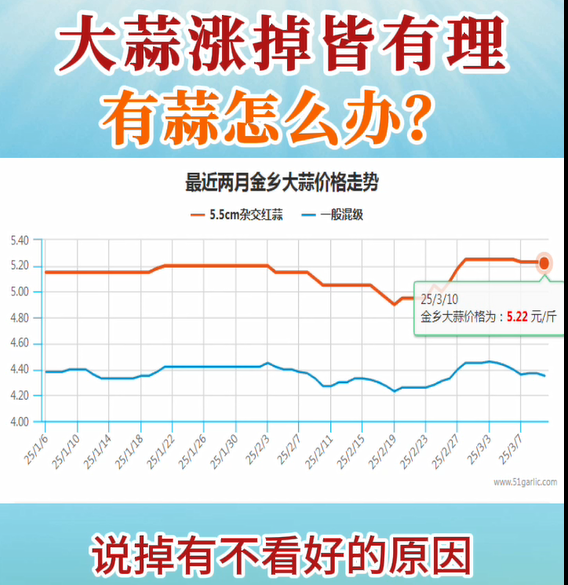 大蒜涨掉皆有理，有蒜怎么办？ ()