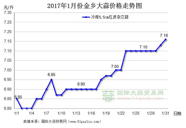 2017年1月份金乡大蒜价格走势图