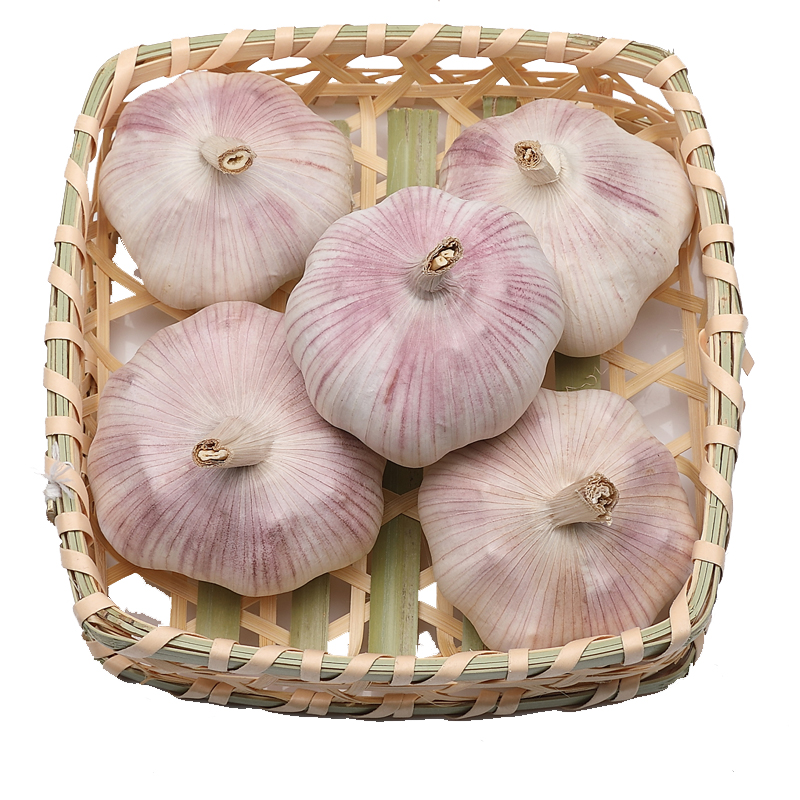 长期 小批量采购大蒜 只要求果径达到5公分以上 对于品种颜色产地