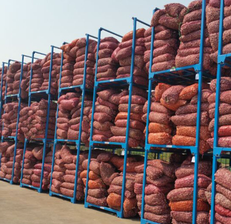 专业定制大蒜存储货架 大蒜货架仓库存储 蒜粉存储巧固架