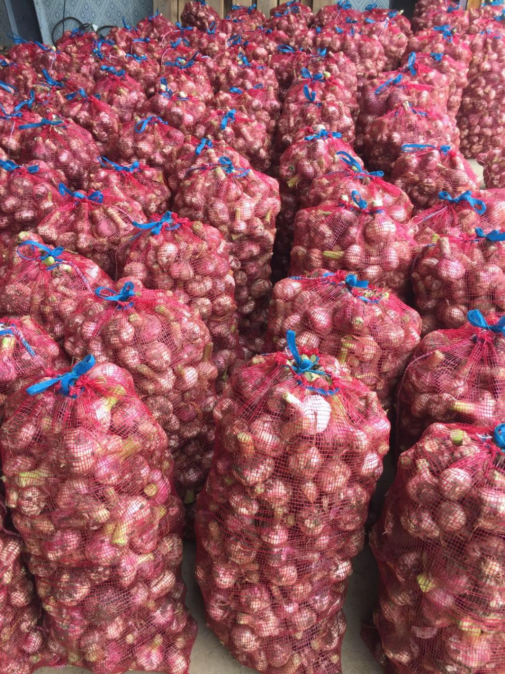 供应冷库鲜蒜_供应大蒜