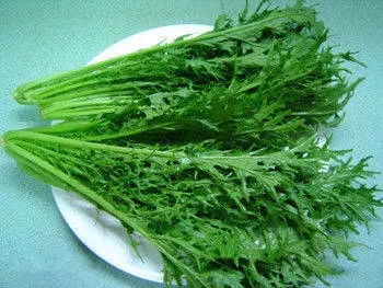 雪里蕻生鲜配送