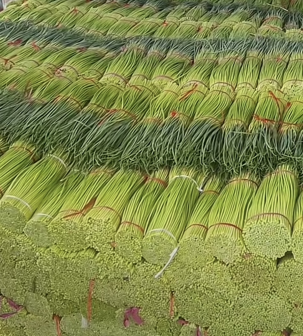 10-11]卖货长年供应金乡冷库大蒜,质优价…[04-18]卖货邳州蒜苔价低量