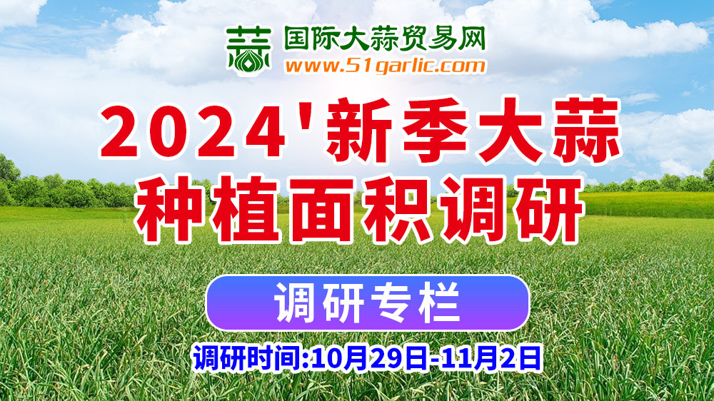 1000-562专栏