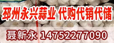 聂新永400-150 直播内容页
