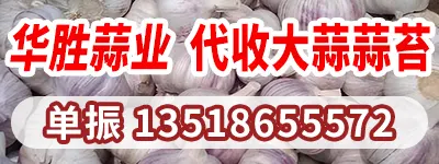 单振400-150 直播内容页