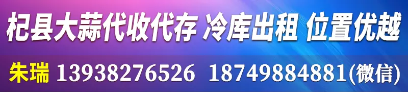 朱瑞 800-180 市场报道内容页