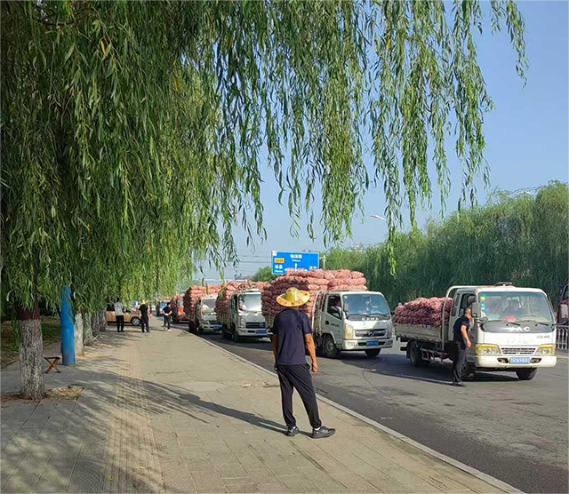 图片2