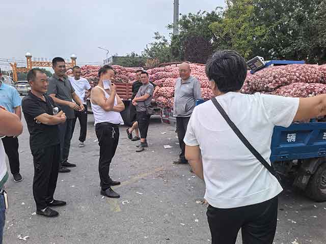 金乡鱼山大蒜交易市场（国际大蒜贸易网）