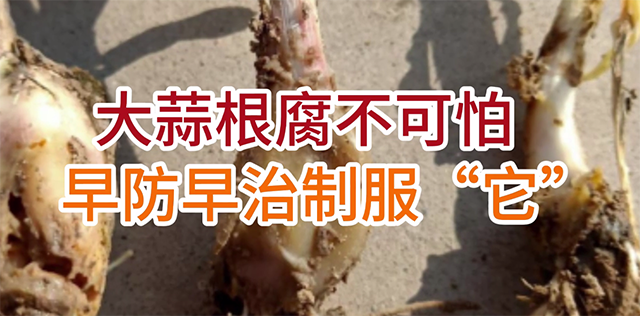 视频讲座