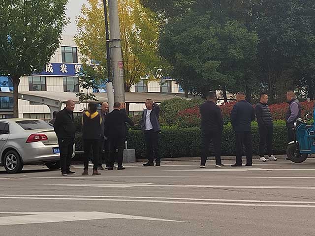 图片1